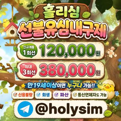 본 업체는 정식*선불유...
